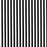 Black/White Stripe
