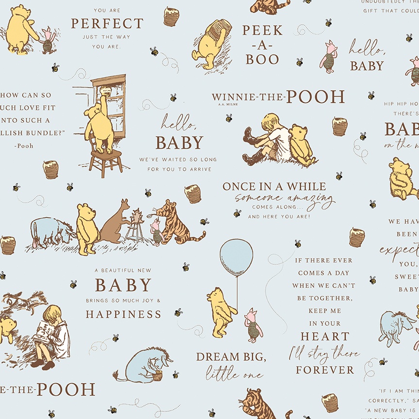 Winnie the Pooh Baby