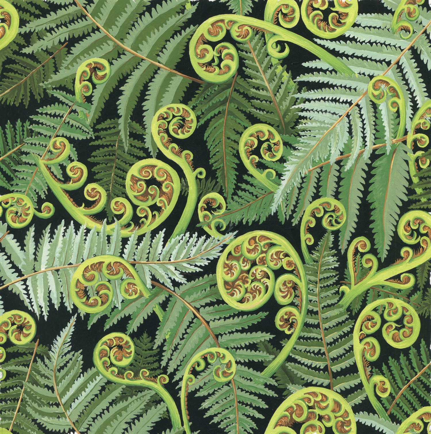 Koru Frond Koru Frond