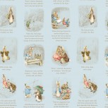 Peter Rabbit & Benjamin Bunny