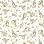 Peter Rabbit Spring
