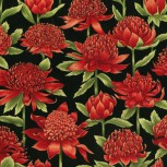 Waratah