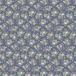 Prairie Blossoms