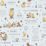 Winnie the Pooh Baby