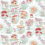 Fairy Garden