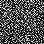 Monochroma