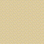 Prairie Blossoms