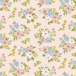 Peter Rabbit Spring