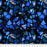 Windows of Wonder