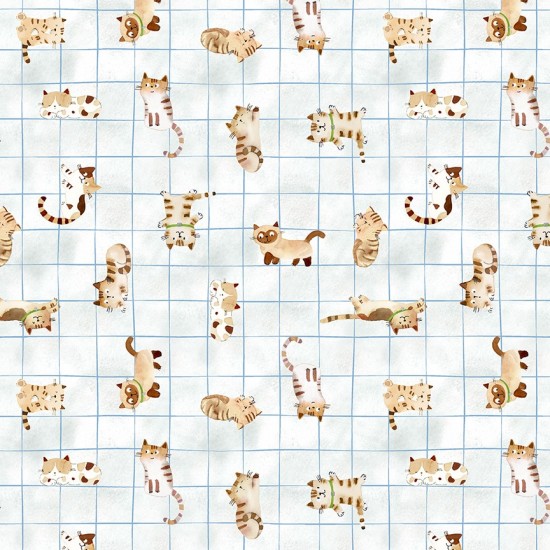 Crafty Cats