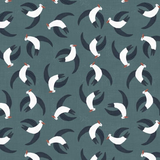 A Pirate's Adventure Mad Gulls A Pirate's Adventure Mad Gulls