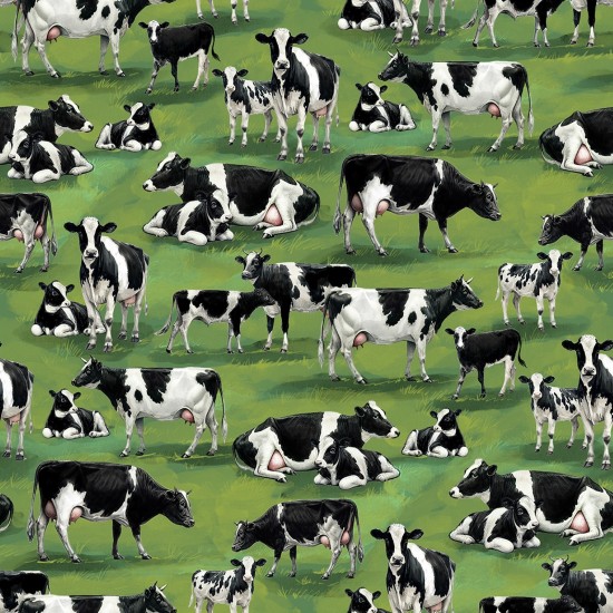 Farmyard