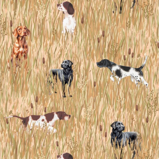 Country Pheasants