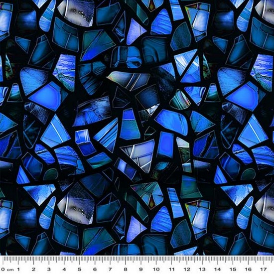 Windows of Wonder
