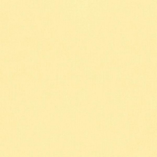 Quilters Muslin