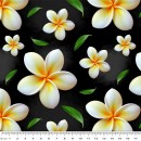 Novelties Col. 103