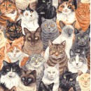 Crowded Cats Col. 101 Multi