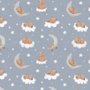 Skyward Dreams Col. 103 Teddies Blue Grey - Due Mar/Apr
