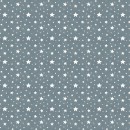 Skyward Dreams Col. 106 Stars Smoky - Due Mar/Apr