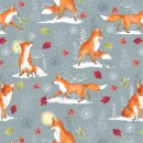 Snowy Fox Col. 102 Walking Fox Grey - Due May/June