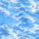 Cloud Nine Col. 102 Midday - Due Jan/Feb