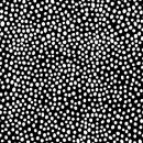 Monochroma Col. 104
