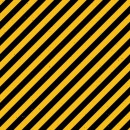 Construction Zone Col. 107