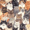 80680 Crowded Cats colour 1