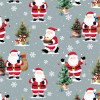 82530 Santa's Snow Day Col. 3 (002)