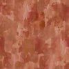 dap 3