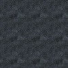 cc 17