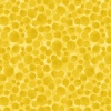 BB013