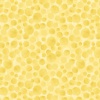 BB05