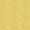 cc 5