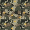 cat 12