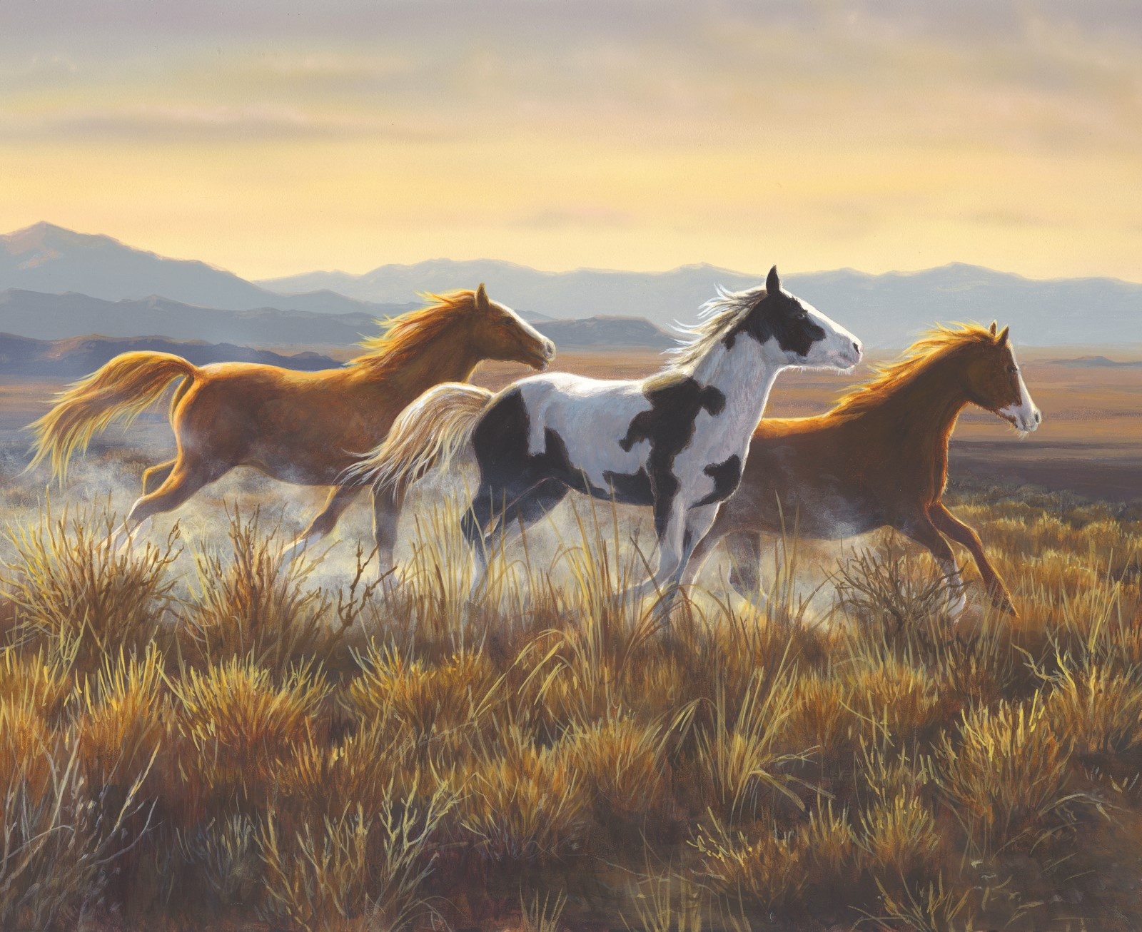 Wild Horses